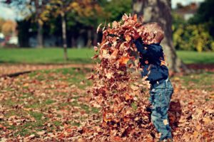 Fall Time Crafts with Kids