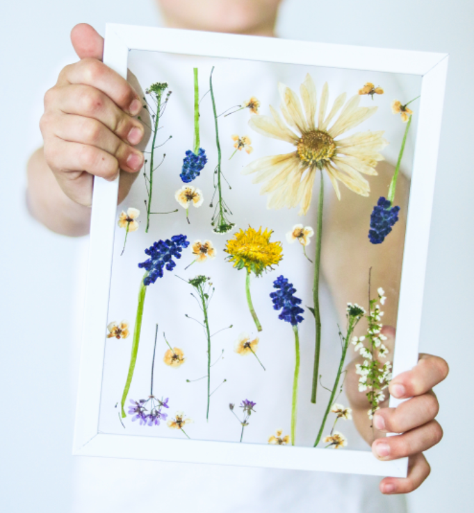 Framed Pressed Flowers